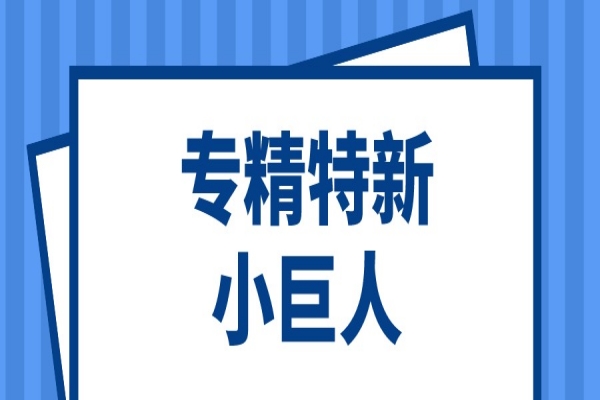 第三批第一年建議支持的國家級專精特新“小巨人”企業(yè)名單和2022年度申請簡單更名的專精特新“小巨人”企業(yè)名單的公示