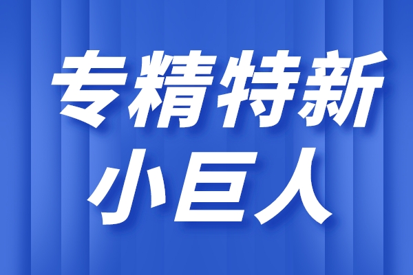 專精特新小巨人企業的主要特征，小巨人企業的重點領域