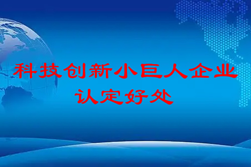 科技創新小巨人企業認定有什么好處