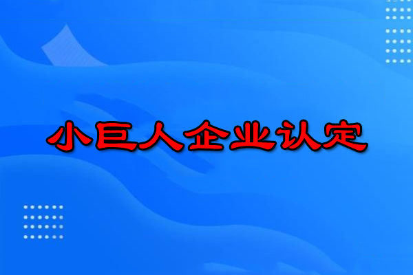 小巨人企業認定