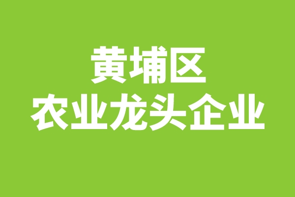 黃埔區2022年區級農業龍頭企業申報（時間、條件、獎勵）