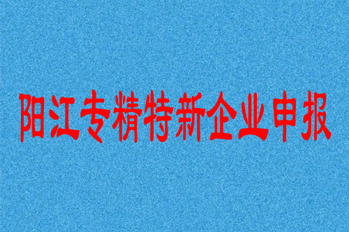 陽(yáng)江專精特新企業(yè)申報(bào)