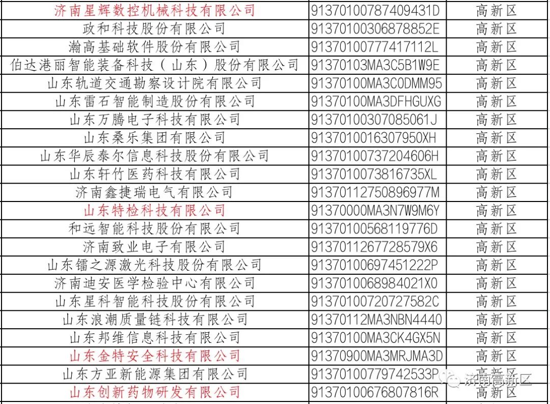 濟南市瞪羚企業名單