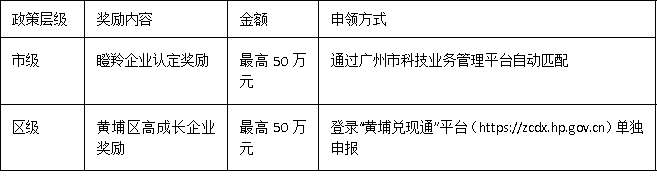 黃埔區(qū)企業(yè)請關(guān)注：2025年瞪羚企業(yè)認(rèn)定要點(diǎn)與區(qū)域?qū)傺a(bǔ)貼解析