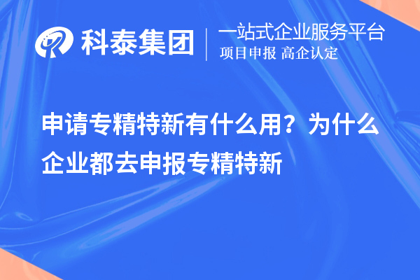 申請(qǐng)專精特新有什么用？為什么企業(yè)都去申報(bào)專精特新