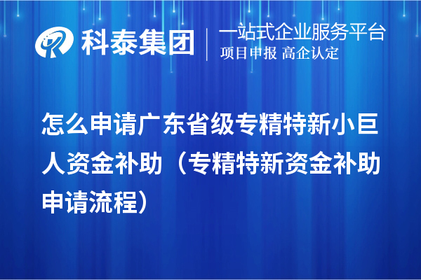 怎么申請廣東省級專精特新小巨人資金補(bǔ)助（專精特新資金補(bǔ)助申請流程）