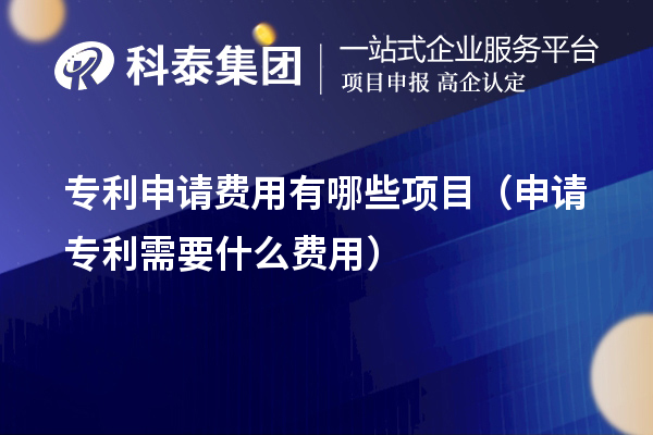 專利申請(qǐng)費(fèi)用有哪些項(xiàng)目（申請(qǐng)專利需要什么費(fèi)用）