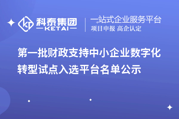 第一批財(cái)政支持中小企業(yè)數(shù)字化轉(zhuǎn)型試點(diǎn)入選平臺名單公示