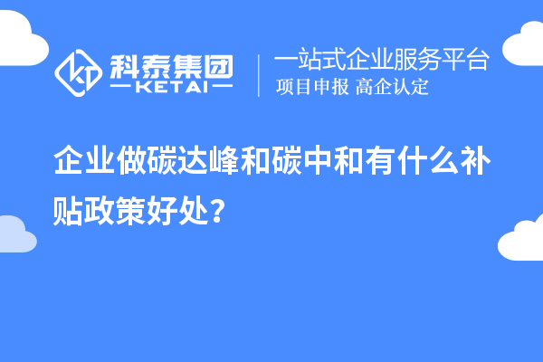 企業(yè)做碳達(dá)峰和碳中和有什么補(bǔ)貼政策好處？