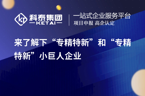來了解下“專精特新”和“專精特新”小巨人企業