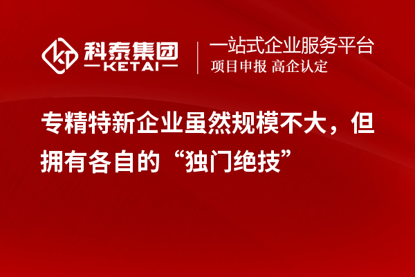 專精特新企業典型案例