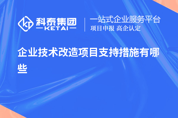 企業技術改造項目支持措施有哪些
