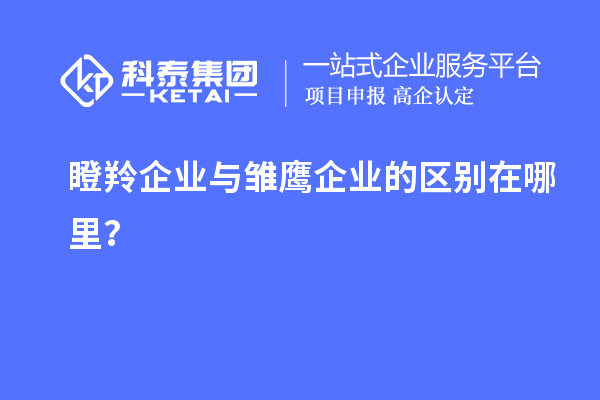 瞪羚企業(yè)與雛鷹企業(yè)的區(qū)別在哪里？