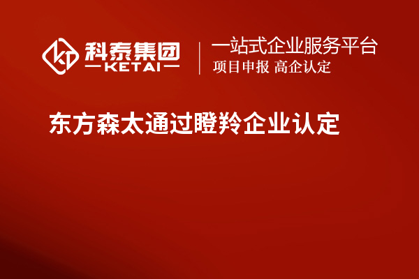 東方森太通過<a href=http://www.xjsygy.com/fuwu/dengling.html target=_blank class=infotextkey>瞪羚企業(yè)認定</a>