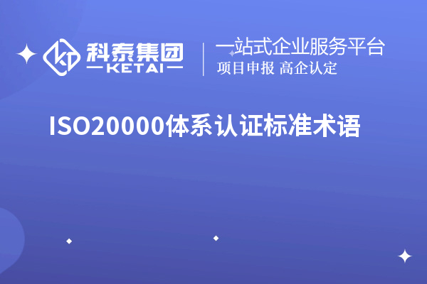 ISO20000體系認證標準術語