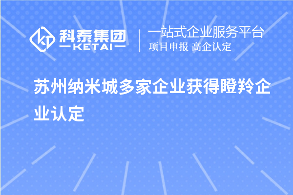 蘇州納米城多家企業(yè)獲得<a href=http://www.xjsygy.com/fuwu/dengling.html target=_blank class=infotextkey>瞪羚企業(yè)認定</a>