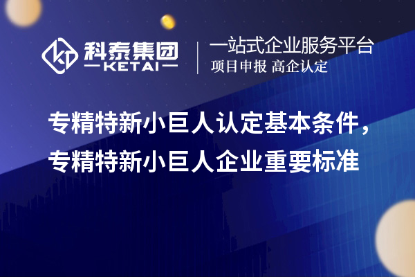 專精特新小巨人認定基本條件，專精特新小巨人企業重要標準