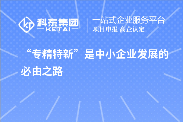“專精特新”是中小企業發展的必由之路