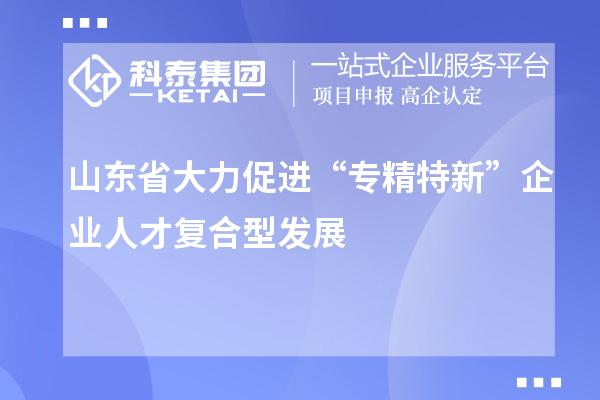 山東省大力促進“專精特新”企業人才復合型發展