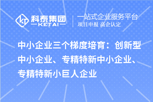 中小企業三個梯度培育：創新型中小企業、專精特新中小企業、專精特新小巨人企業