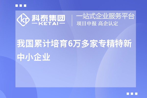 我國累計培育6萬多家專精特新中小企業