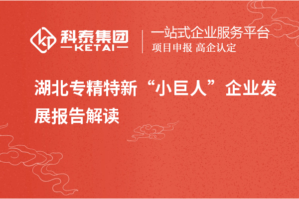 湖北專精特新“小巨人”企業發展報告解讀