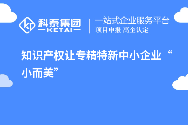 知識(shí)產(chǎn)權(quán)讓專(zhuān)精特新中小企業(yè)“小而美”