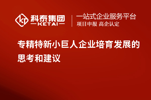 專精特新小巨人企業培育發展的思考和建議