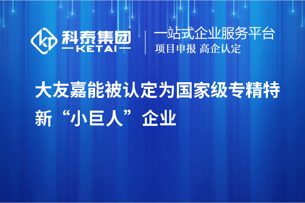 大友嘉能被認(rèn)定為國家級專精特新“小巨人”企業(yè)