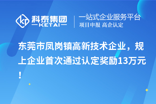 東莞市鳳崗鎮(zhèn)高新技術企業(yè)，規(guī)上企業(yè)首次通過認定獎勵13萬元！