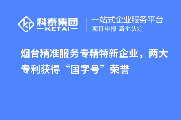 煙臺精準(zhǔn)服務(wù)專精特新企業(yè)，兩大專利獲得“國字號”榮譽(yù)