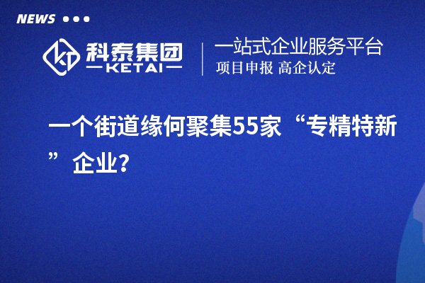 一個街道緣何聚集55家“專精特新”企業？