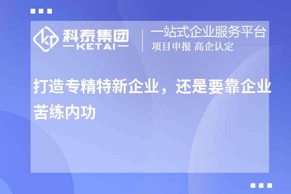 打造專精特新企業，還是要靠企業苦練內功