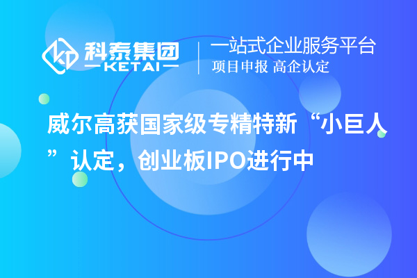 威爾高獲國家級專精特新“小巨人”認定，創(chuàng)業(yè)板IPO進行中