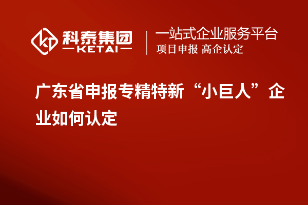 廣東省申報專精特新“小巨人”企業如何認定