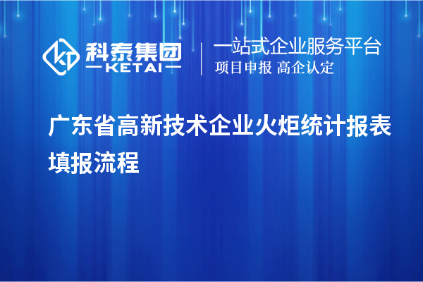 廣東省高新技術企業火炬統計報表填報流程