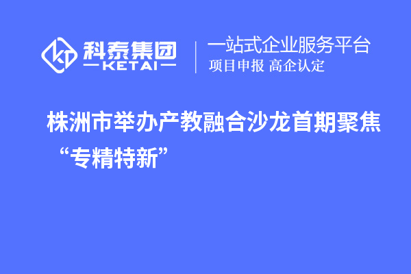 株洲市舉辦產教融合沙龍 首期聚焦“專精特新”