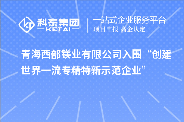 青海西部鎂業有限公司入圍“創建世界一流專精特新示范企業”