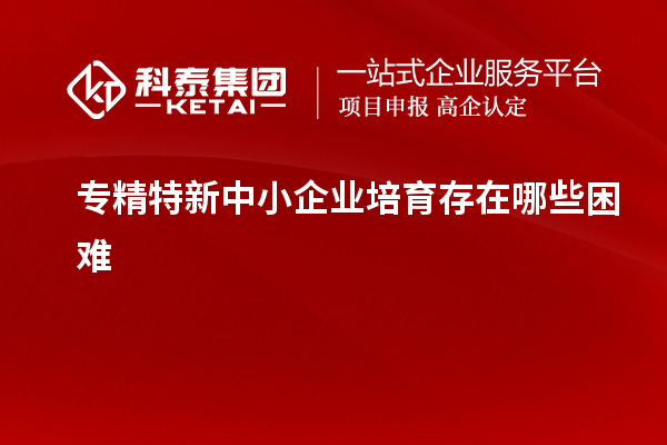 專精特新中小企業培育存在哪些困難