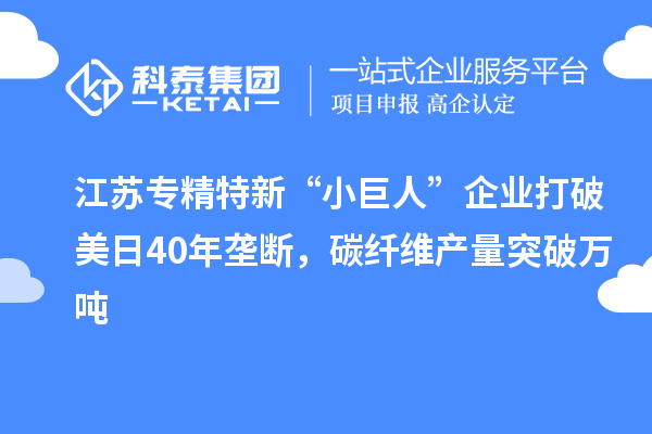 江蘇專精特新“小巨人”企業打破美日40年壟斷，碳纖維產量突破萬噸