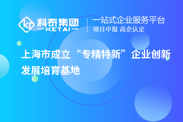 上海市成立“專精特新”企業創新發展培育基地