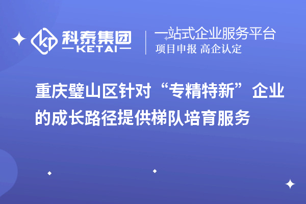 重慶璧山區針對“專精特新”企業的成長路徑提供梯隊培育服務