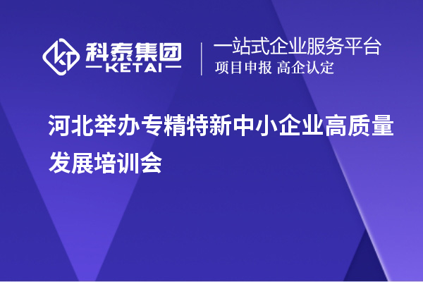 河北舉辦專精特新中小企業(yè)高質(zhì)量發(fā)展培訓會