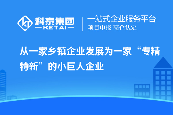 從一家鄉鎮企業發展為一家“專精特新”的小巨人企業