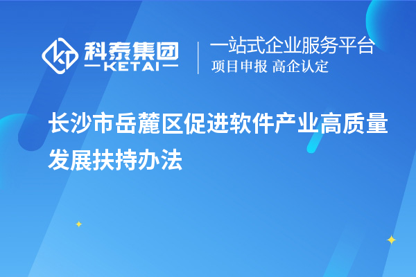長沙市岳麓區促進軟件產業高質量發展扶持辦法