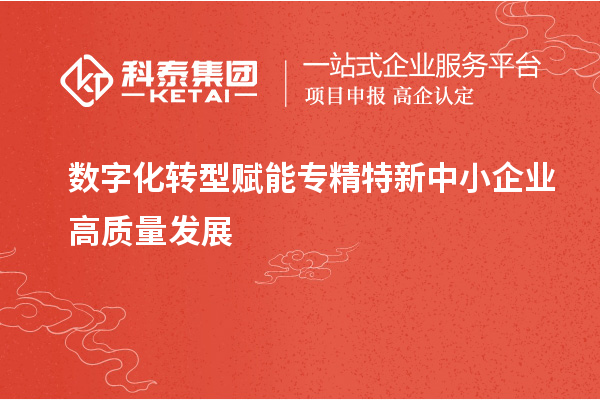 數(shù)字化轉(zhuǎn)型賦能專(zhuān)精特新中小企業(yè)高質(zhì)量發(fā)展