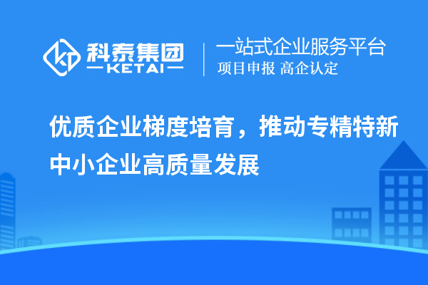 優質企業梯度培育，推動專精特新中小企業高質量發展