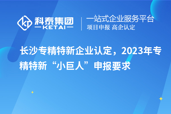 長沙專精特新企業(yè)認定，2023年專精特新“小巨人”申報要求
