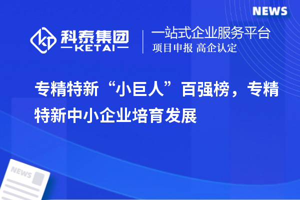 專精特新“小巨人”百強榜，<a href=http://www.xjsygy.com/fuwu/zhuanjingtexin.html target=_blank class=infotextkey>專精特新中小企業</a>培育發展