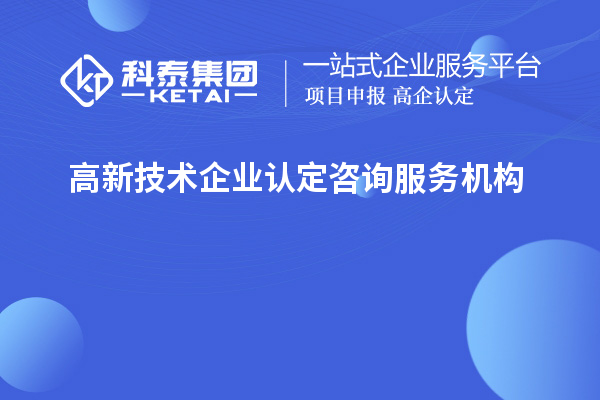 高新技術企業(yè)認定咨詢服務機構